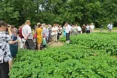 Аграрии Ленинградской области обсудили перспективы семеноводства в регионе