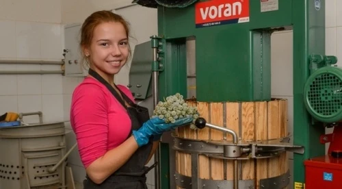 Политеховские виноделы вызывают на битву зарубежных коллег