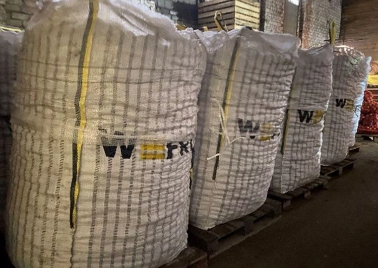 В Карелии проверили 120 тонн картофеля 