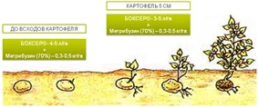 БОКСЕР®: работает там, где другие бессильны!