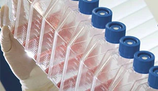 Артем Кондрашов возглавил MSD Animal Health в России и СНГ
