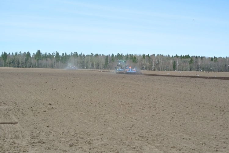 Почему бездефицитное питание становится основой устойчивого земледелия