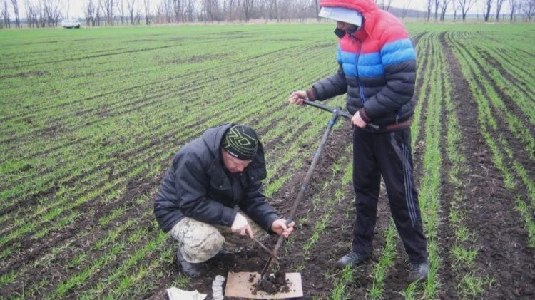 Ранневесенняя подкормка азотом Ранневесенняя подкормка азотом