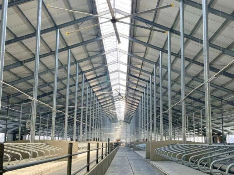 Новая ферма на 800 дойных коров