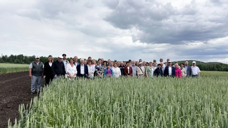 Селекция как основа продовольственной безопасности Селекция как основа продовольственной безопасности