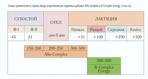 Энергодефицит у коров? Есть решение!