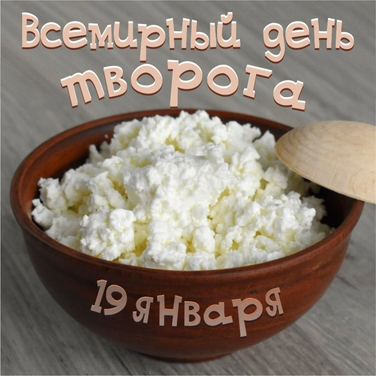 Что нужно знать о твороге Что нужно знать о твороге