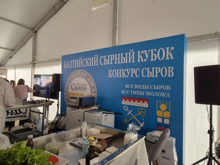 Назван лучший сыр