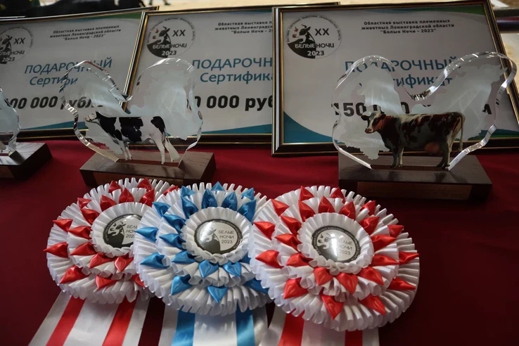 XXI выставка племенных животных «Белые ночи» ждет участников и гостей XXI выставка племенных животных «Белые ночи» ждет участников и гостей