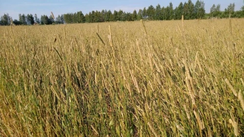 Международная научно-практическая конференция