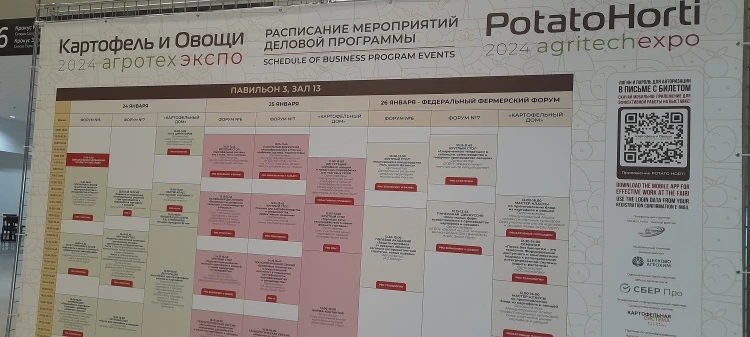Выставка, которую ждали Выставка, которую ждали
