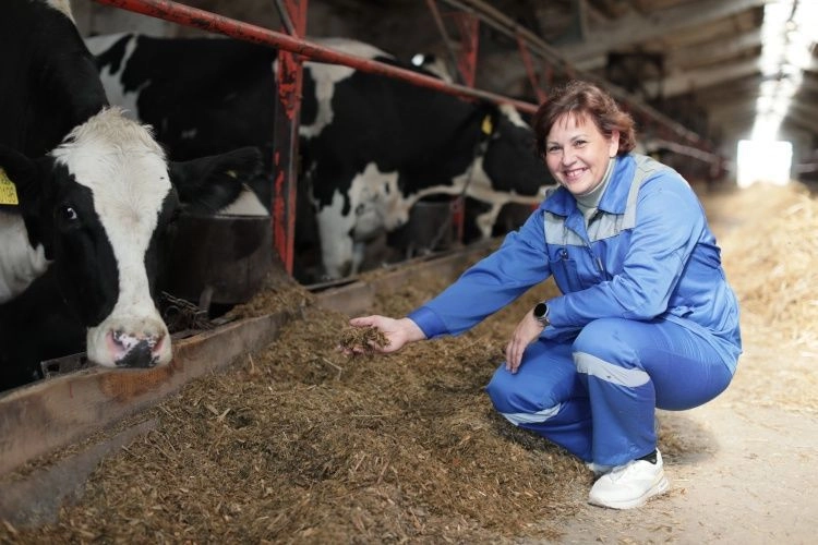 Всероссийский конкурс профессионального мастерства «Лучший по профессии»