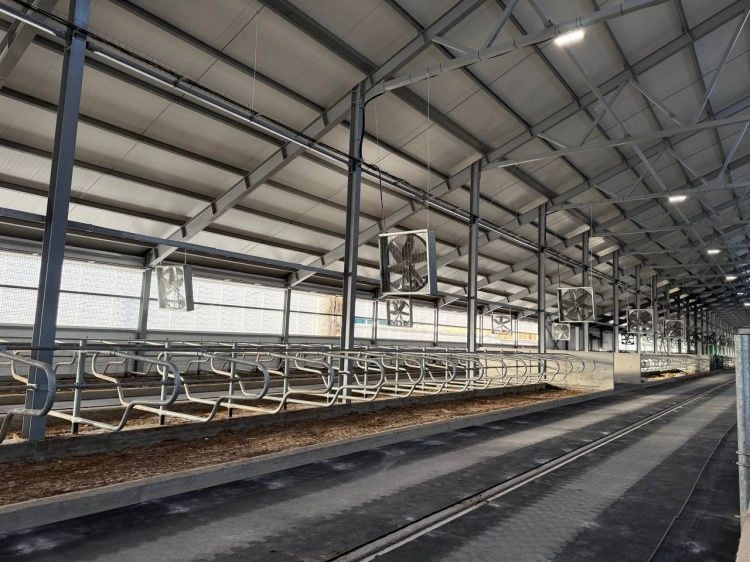 В Ивановской области возводят новый животноводческий комплекс