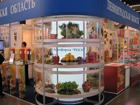 «ЗОЛОТАЯ ОСЕНЬ-2010»