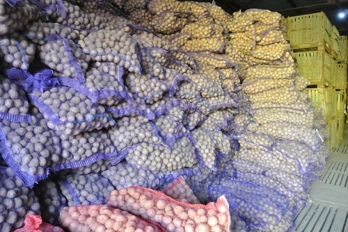В Дагестане обсудили меры по организации хранения сельхозпродукции