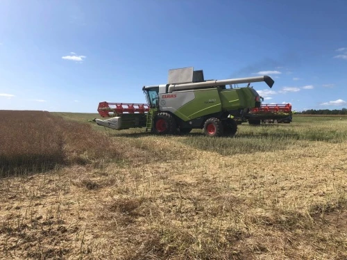 ПАРТНЕР CLAAS РЕАЛИЗОВАЛ  БИЗНЕС-ПРОЕКТ ПО ВОЗДЕЛЫВАНИЮ ЯРОВОГО РАПСА С МАРЖИНАЛЬНОЙ ПРИБЫЛЬЮ 60%