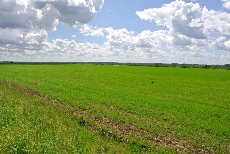 Агростраховщики возместили аграриям более 10,8 млрд рублей