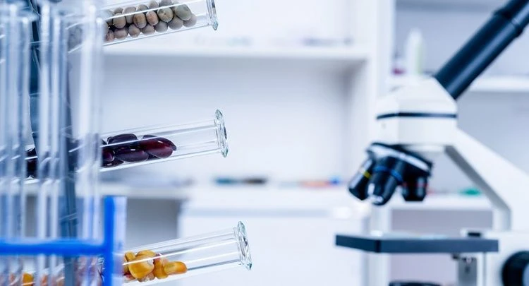 Микробиология зерна и продуктов его переработки Микробиология зерна и продуктов его переработки