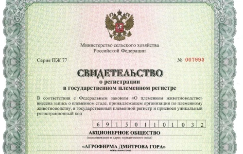 Обновленный статус племенного завода!