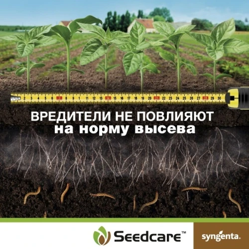 Защита посевов подсолнечника