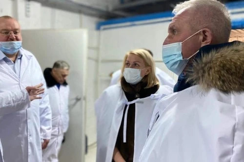 В 2021 году в Ульяновской области начнется производство инкубационного яйца