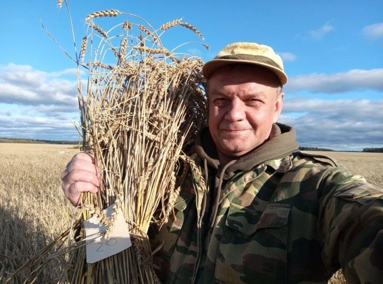 Ученые СПбГАУ разработали инновационный метод мониторинга посевов с помощью нейросетей