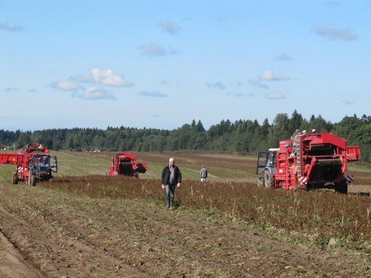 Удержание квалифицированных кадров в агробизнесе часто дешевле найма
