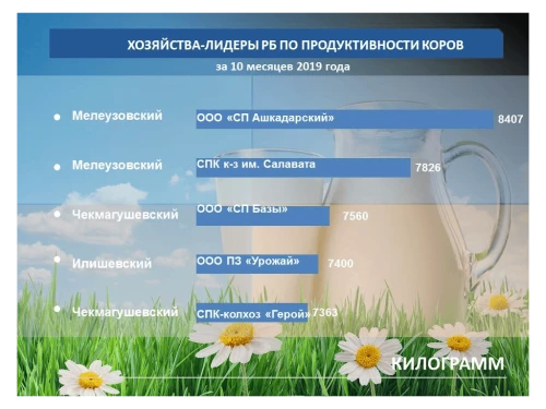 Минсельхоз РБ: составлен молочный рейтинг за 10 месяцев года