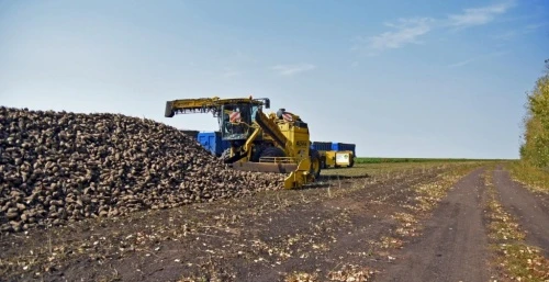 Развитие отечественного семеноводства в числе приоритетов