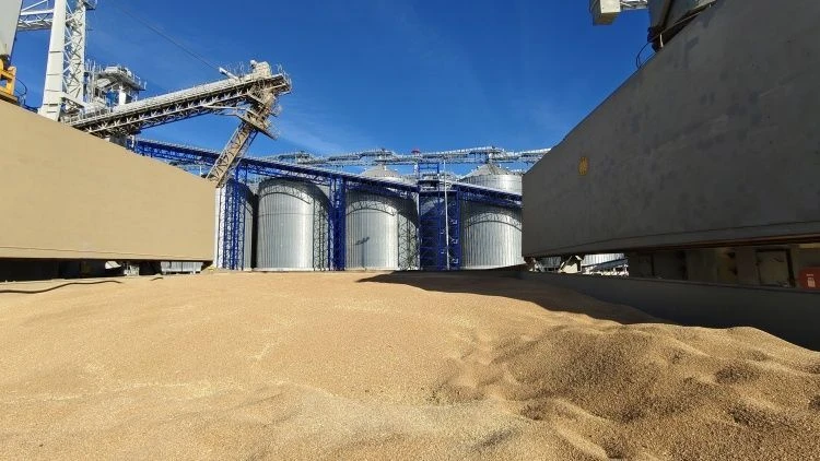 Отгружено более 800 тысяч тонн зерновой продукции Отгружено более 800 тысяч тонн зерновой продукции