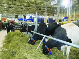 АgroFarm-2014 – событие года