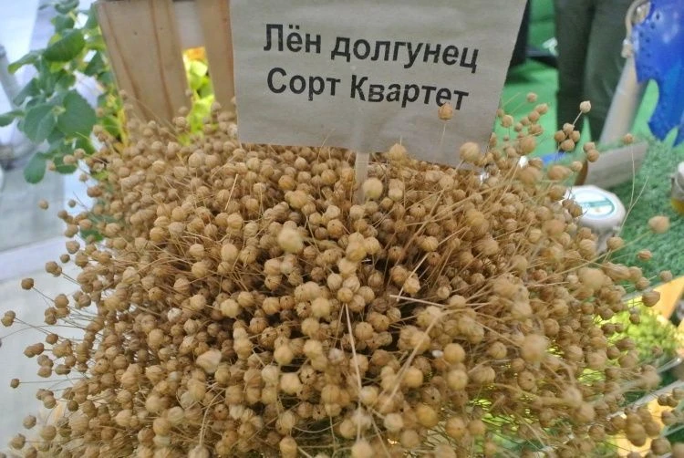 Востребованность нишевых культур Востребованность нишевых культур