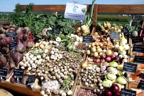 УрГАУ обучит выращиванию экологически чистых продуктов питания