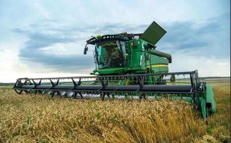 Новый курс в структуре севооборота: приоритет поздним культурам