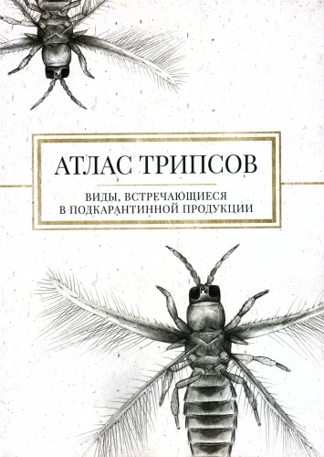 Издание «Атлас насекомых отряда Бахромчатокрылые или Трипсы (Thysanoptera), встречающихся в подкарантинной продукции», 2019 год