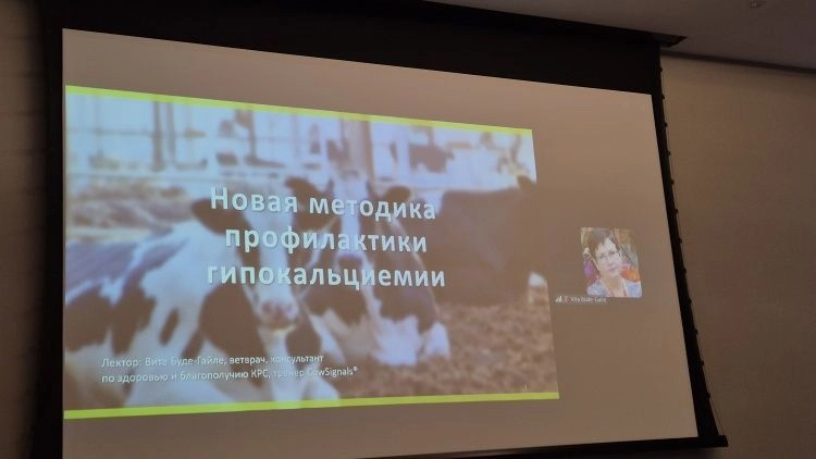 Роль кальция в жизни коровы Роль кальция в жизни коровы