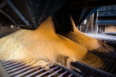 В России запущены биржевые спот-торги зерном