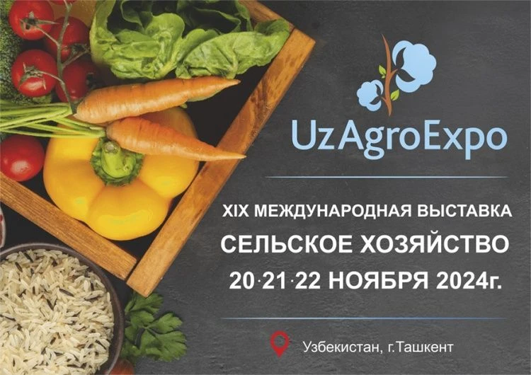 19-ая Международная выставка «UzAgroExpo - 2024» 19-ая Международная выставка «UzAgroExpo - 2024»