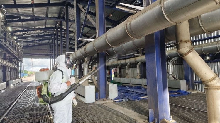 Опробован новый способ борьбы с птицами Опробован новый способ борьбы с птицами