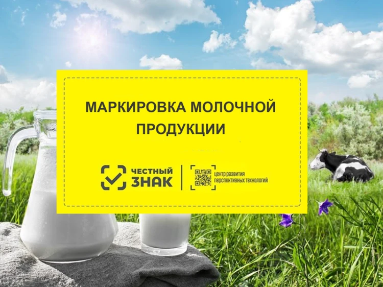 Как изменились цены на молочную продукцию за год Как изменились цены на молочную продукцию за год