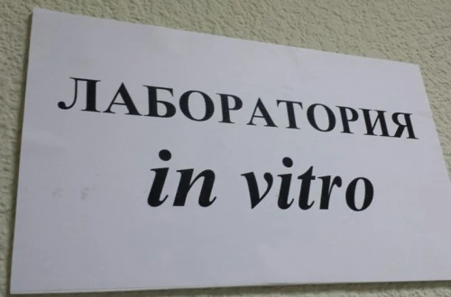 Открыта международная лаборатория размножения картофеля