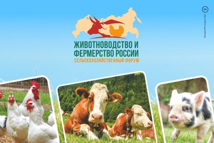 О кормовых аминокислотах и витаминах О кормовых аминокислотах и витаминах