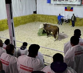 Заводчики герефордов встретились на своём съезде