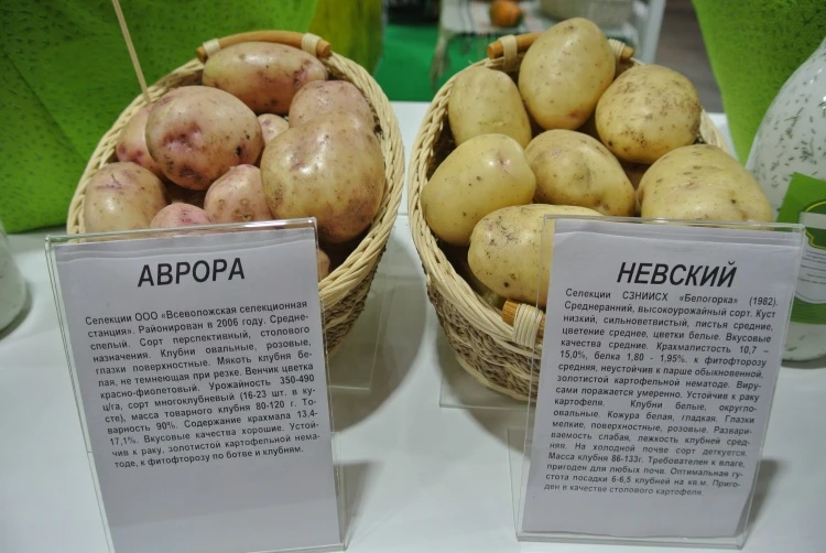 Семена для Донецкой и Луганской республик