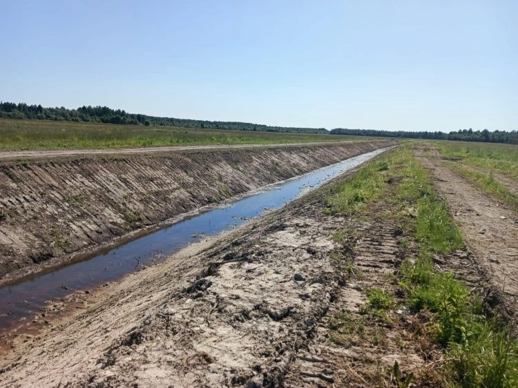 На мелиорацию земель в Карелии направят более 39 млн рублей