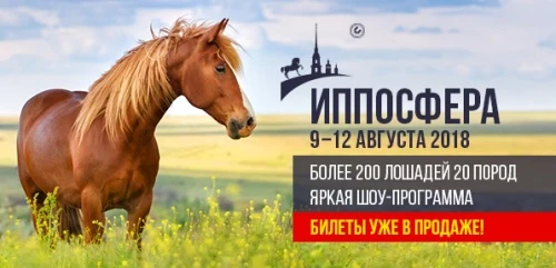 В Петербурге пройдет главная конная выставка России