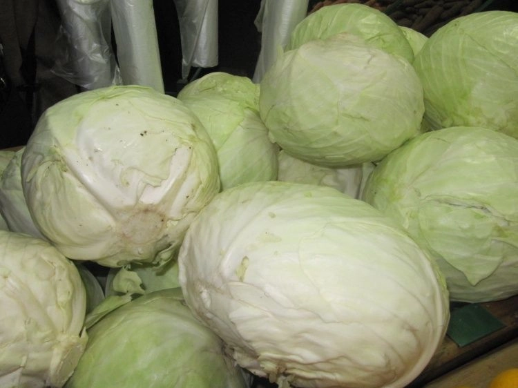 Храним капусту до весны