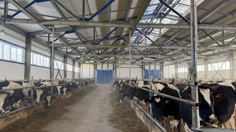 В СПК «Панинское» ввели в эксплуатацию новую животноводческую ферму
