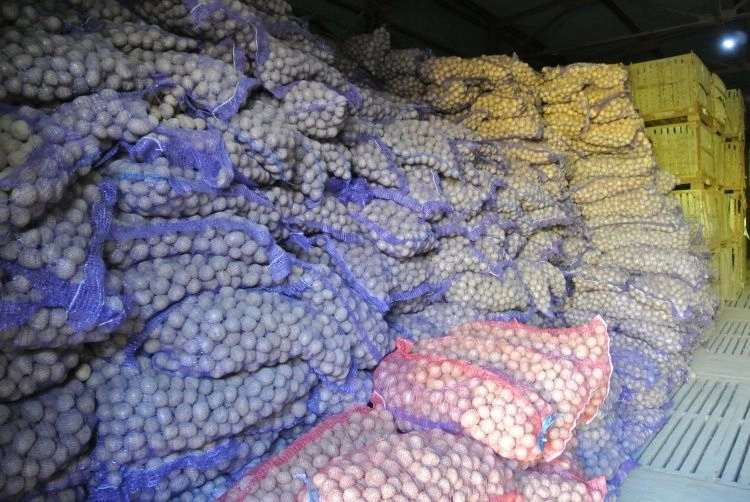 Правительство утвердило ряд новых мер поддержки для сельхозпроизводителей