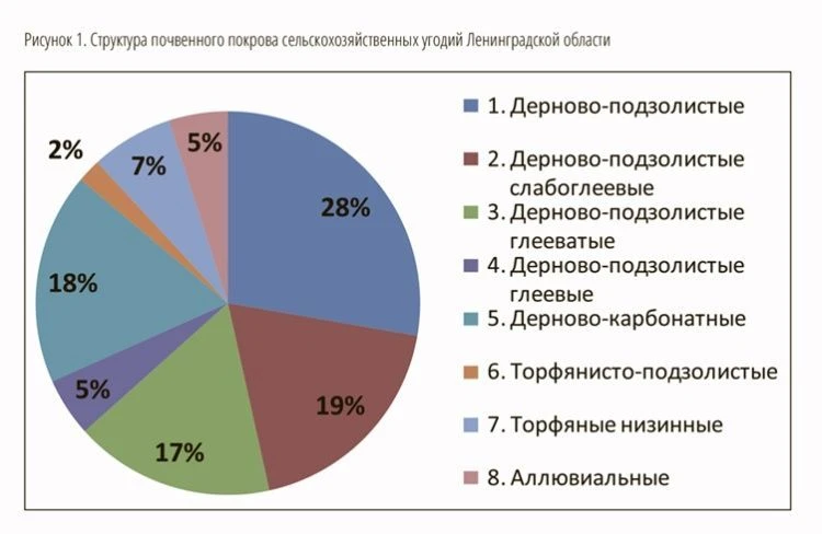 Такие разные почвы и земли Такие разные почвы и земли